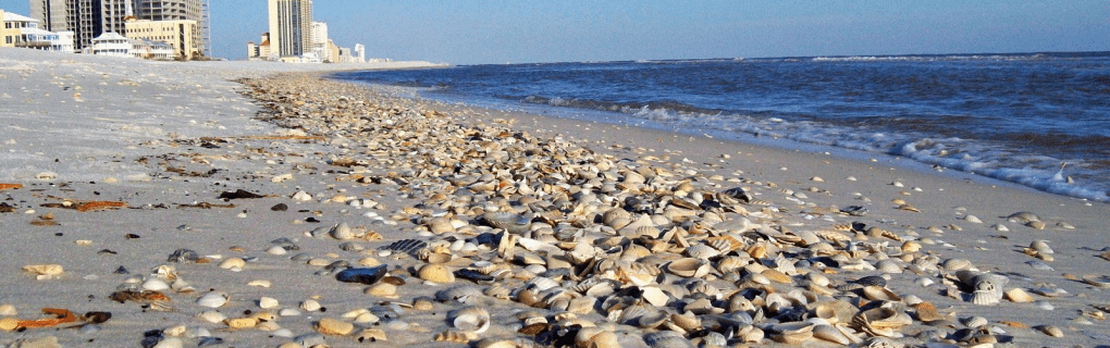 how to start a travel agency in Alabama with the travel host agency, Travel Agent Pro