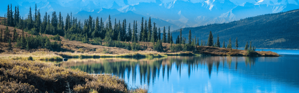 how to start a travel agency in Alaska with the travel host agency, Travel Agent Pro
