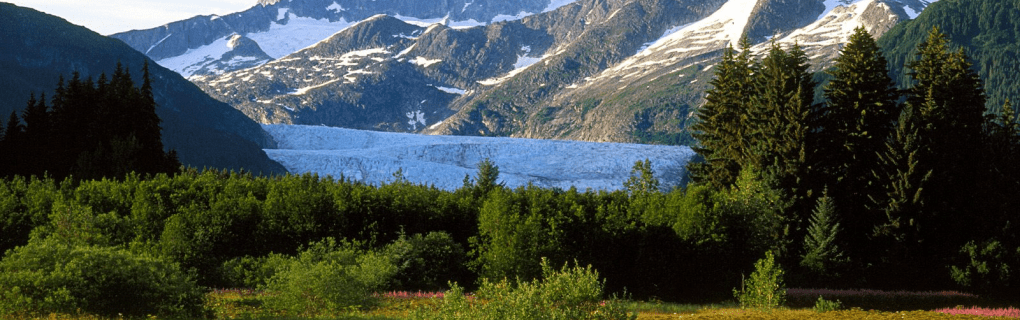 how to start a travel agency in Alaska with the travel host agency, Travel Agent Pro