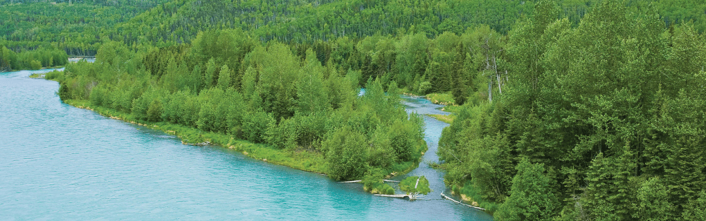 how to start a travel agency in Alaska with the travel host agency, Travel Agent Pro