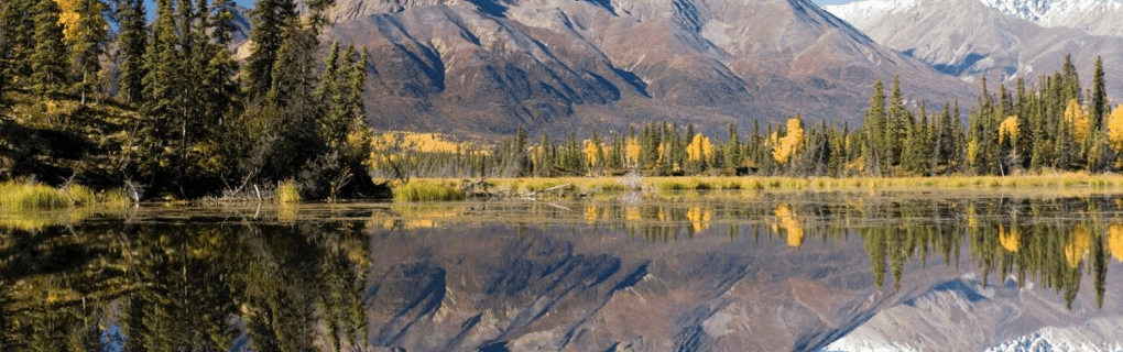 how to start a travel agency in Alaska with the travel host agency, Travel Agent Pro