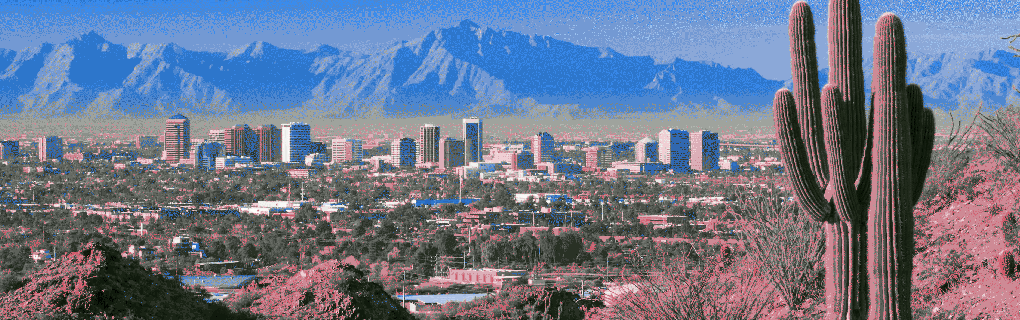 how to start a travel agency in Arizona with the travel host agency, Travel Agent Pro