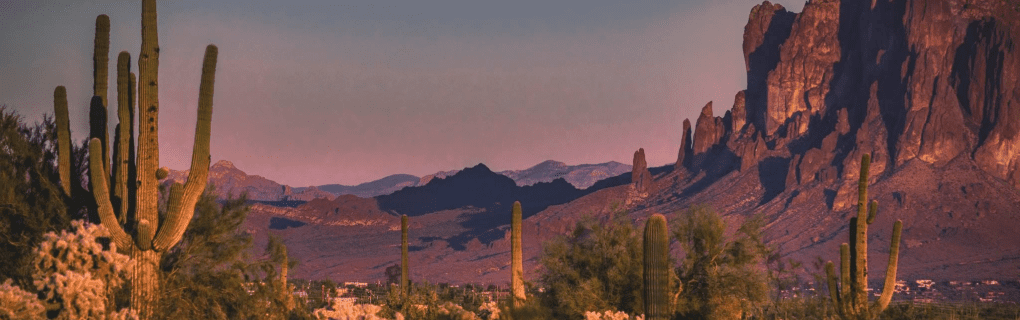 how to start a travel agency in Arizona with the travel host agency, Travel Agent Pro