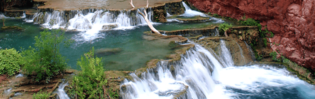 how to start a travel agency in Arizona with the travel host agency, Travel Agent Pro