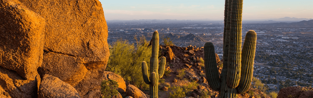 how to start a travel agency in Arizona with the travel host agency, Travel Agent Pro