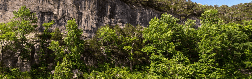 how to start a travel agency in Arkansas with the travel host agency, Travel Agent Pro