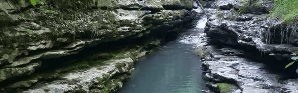 how to start a travel agency in Arkansas with the travel host agency, Travel Agent Pro