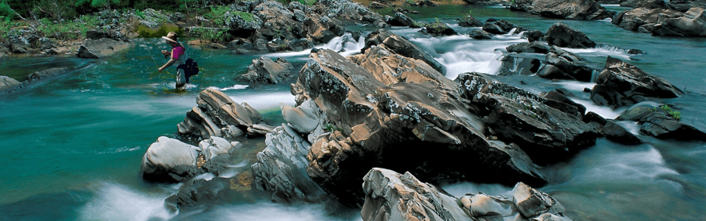 how to start a travel agency in Arkansas with the travel host agency, Travel Agent Pro