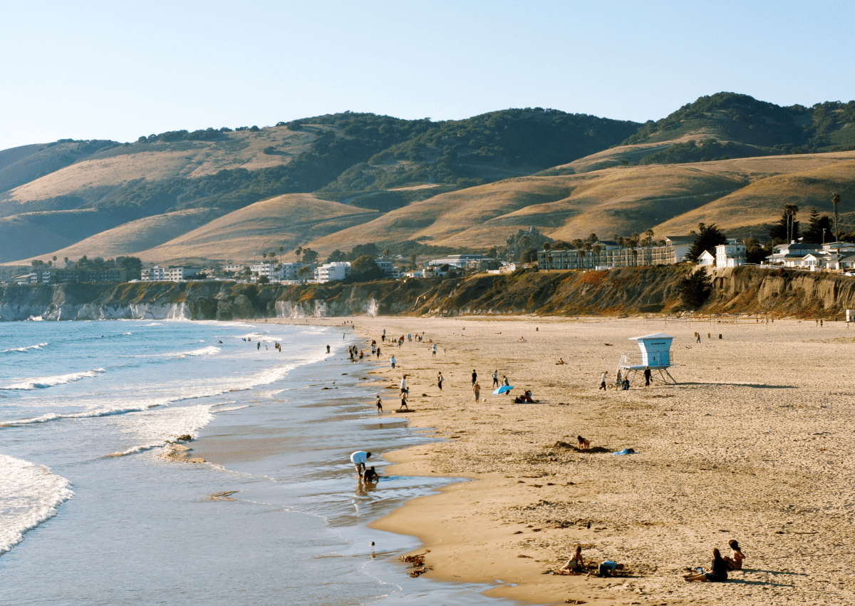 how to start a travel agency in california
