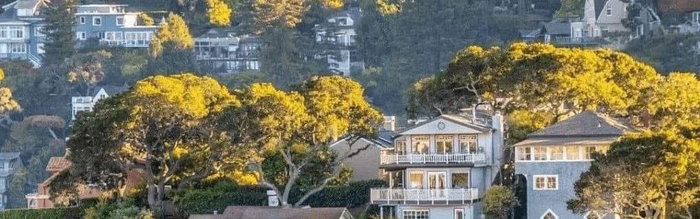 how to start a travel agency in California with the travel host agency, Travel Agent Pro