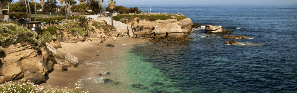 how to start a travel agency in California with the travel host agency, Travel Agent Pro