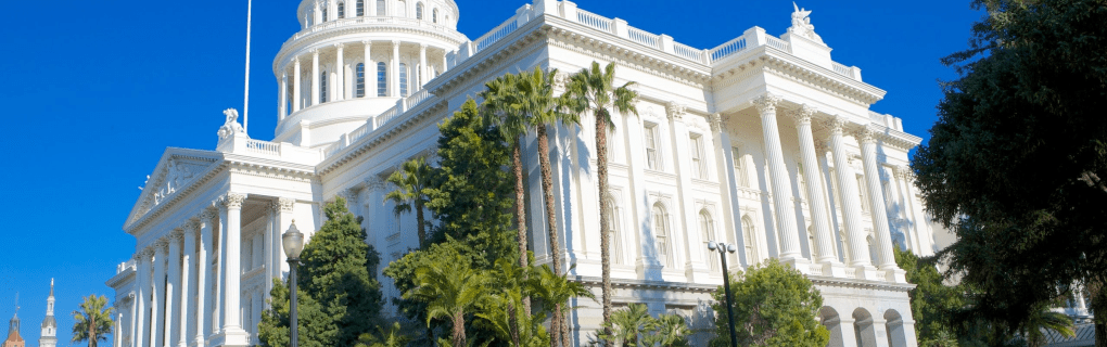 how to start a travel agency in California with the travel host agency, Travel Agent Pro