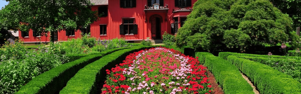 how to start a travel agency in Connecticut with the travel host agency, Travel Agent Pro