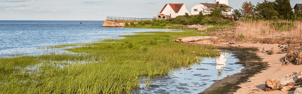 how to start a travel agency in Connecticut with the travel host agency, Travel Agent Pro