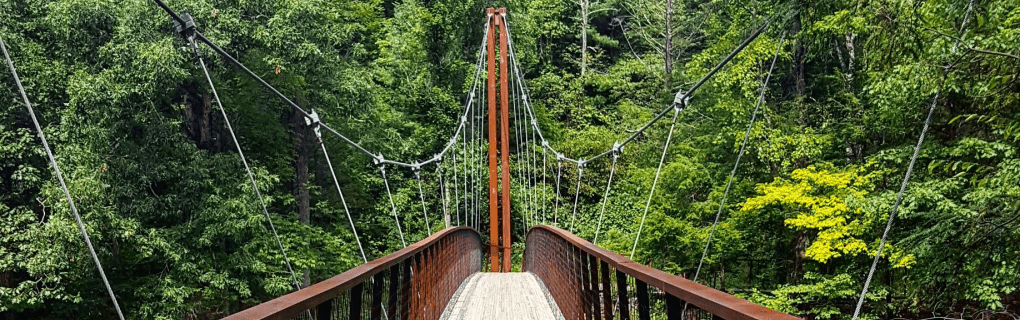 how to start a travel agency in Connecticut with the travel host agency, Travel Agent Pro