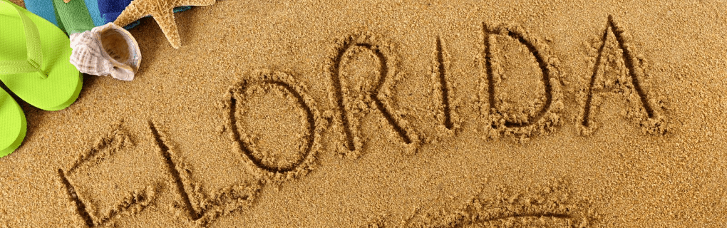 how to start a travel agency in Florida with the travel host agency, Travel Agent Pro