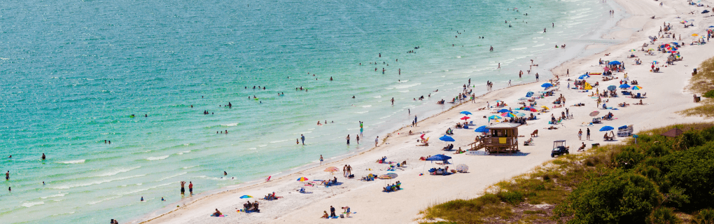 how to start a travel agency in Florida with the travel host agency, Travel Agent Pro