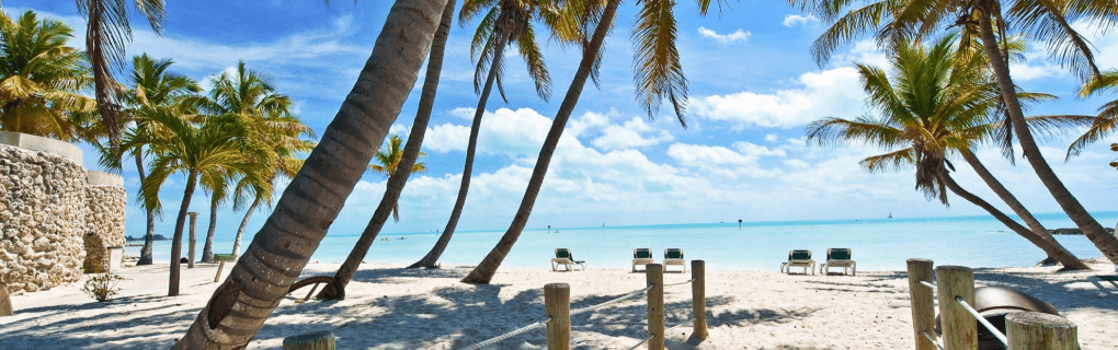 how to start a travel agency in Florida with the travel host agency, Travel Agent Pro