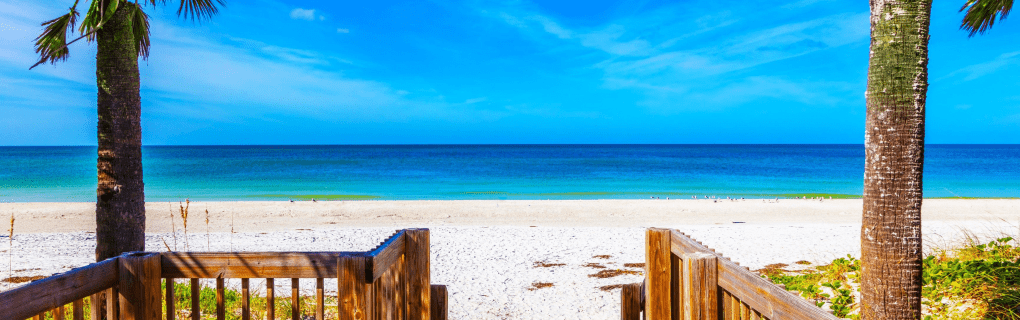 how to start a travel agency in Florida with the travel host agency, Travel Agent Pro