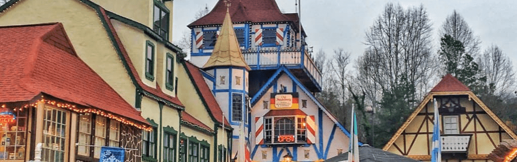 how to start a travel agency in Georgia with the travel host agency, Travel Agent Pro