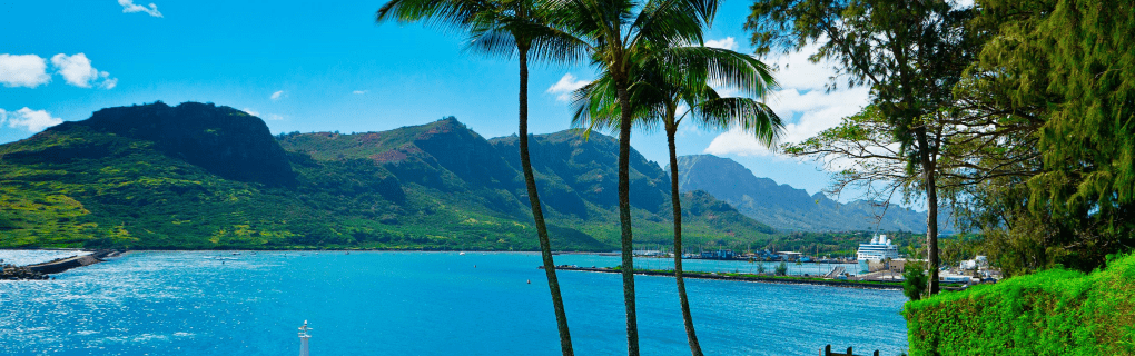 how to start a travel agency in Hawaii with the travel host agency, Travel Agent Pro