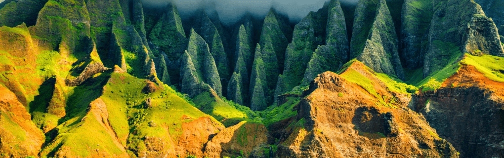 how to start a travel agency in Hawaii with the travel host agency, Travel Agent Pro