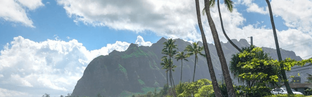 how to start a travel agency in Hawaii with the travel host agency, Travel Agent Pro