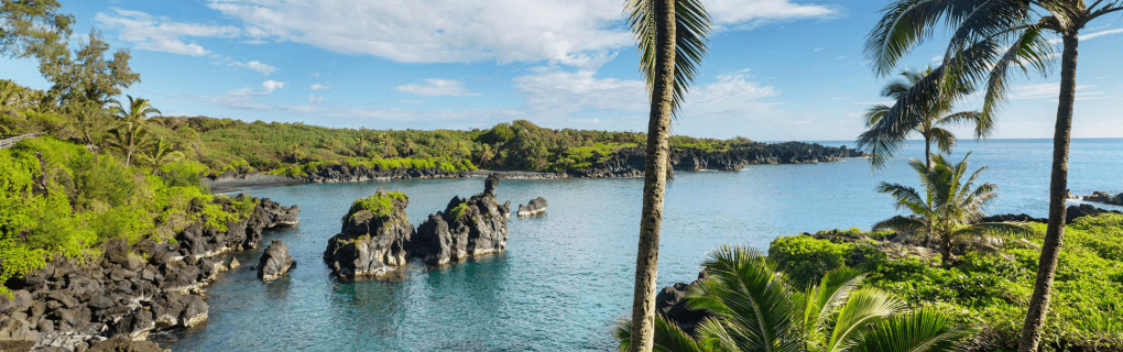 how to start a travel agency in Hawaii with the travel host agency, Travel Agent Pro