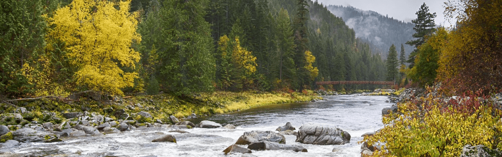 how to start a travel agency in Idaho with the travel host agency, Travel Agent Pro