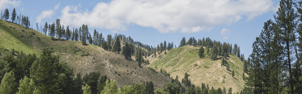 how to start a travel agency in Idaho with the travel host agency, Travel Agent Pro