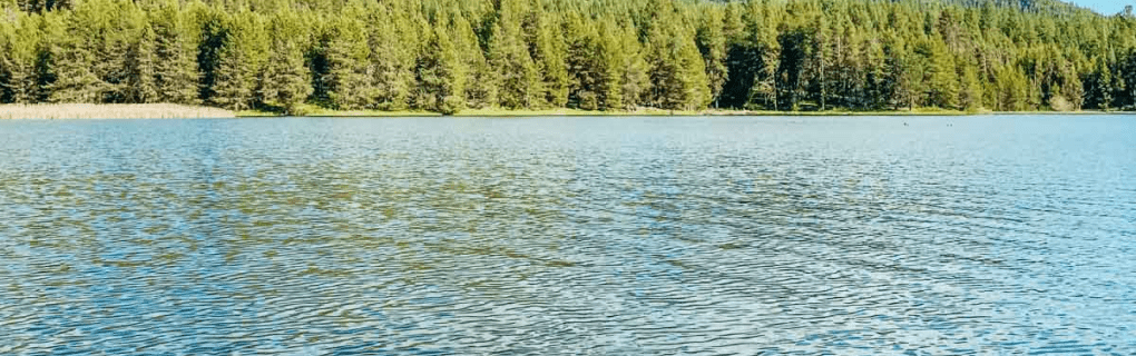 how to start a travel agency in Idaho with the travel host agency, Travel Agent Pro