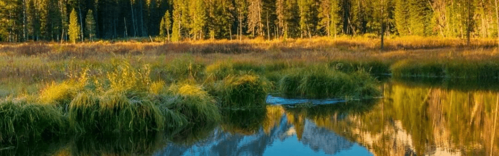 how to start a travel agency in Idaho with the travel host agency, Travel Agent Pro