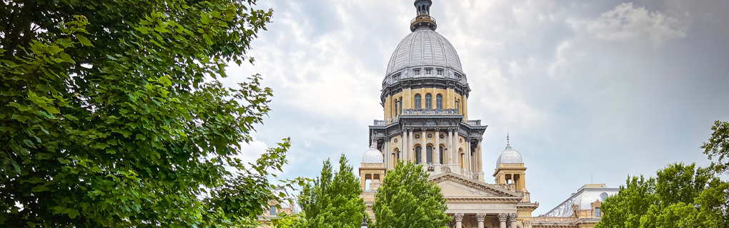 how to start a travel agency in Illinois with the travel host agency, Travel Agent Pro