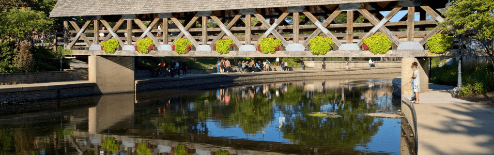 how to start a travel agency in Illinois with the travel host agency, Travel Agent Pro