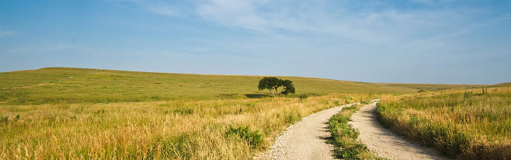 how to start a travel agency in Kansas with the travel host agency, Travel Agent Pro