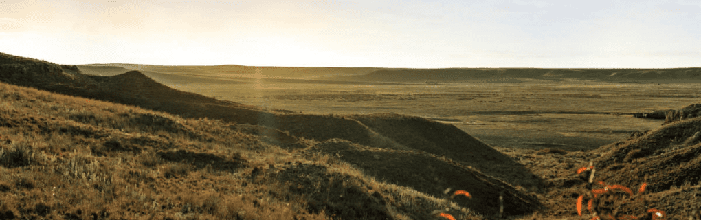 how to start a travel agency in Kansas with the travel host agency, Travel Agent Pro