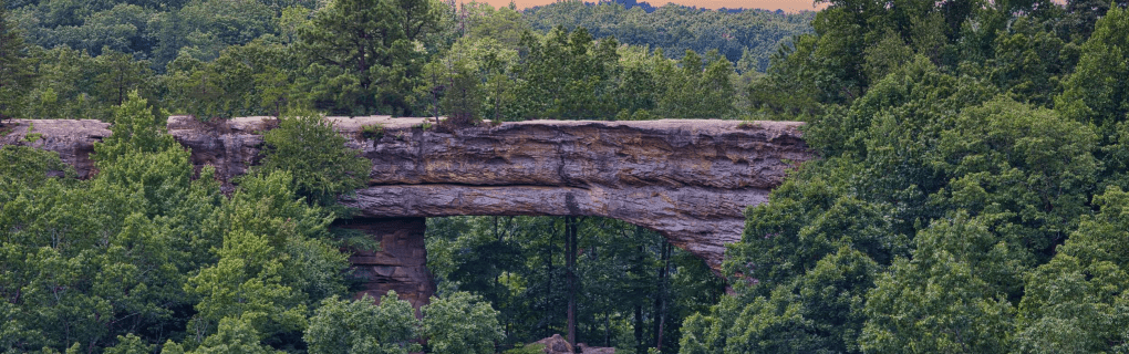 how to start a travel agency in Kentucky with the travel host agency, Travel Agent Pro