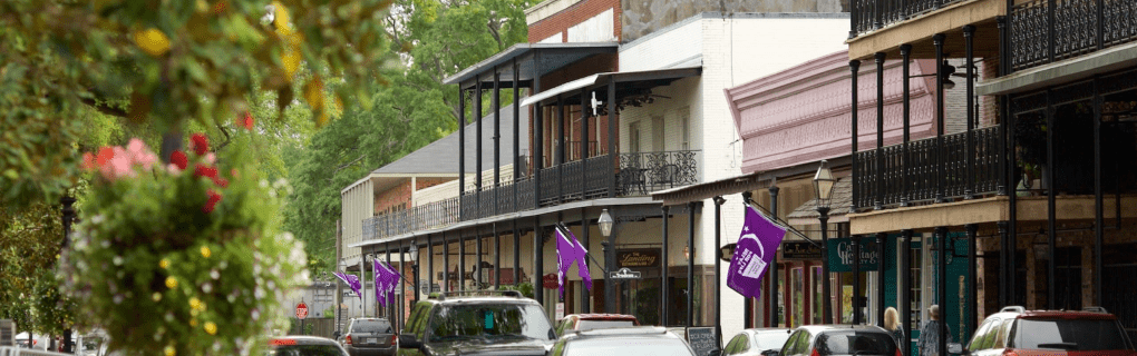 how to start a travel agency in Louisiana with the travel host agency, Travel Agent Pro