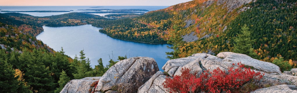 how to start a travel agency in Maine with the travel host agency, Travel Agent Pro