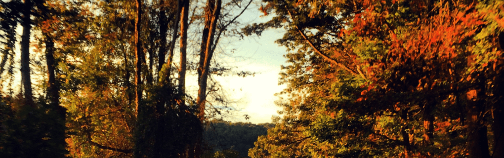 how to start a travel agency in Maryland with the travel host agency, Travel Agent Pro