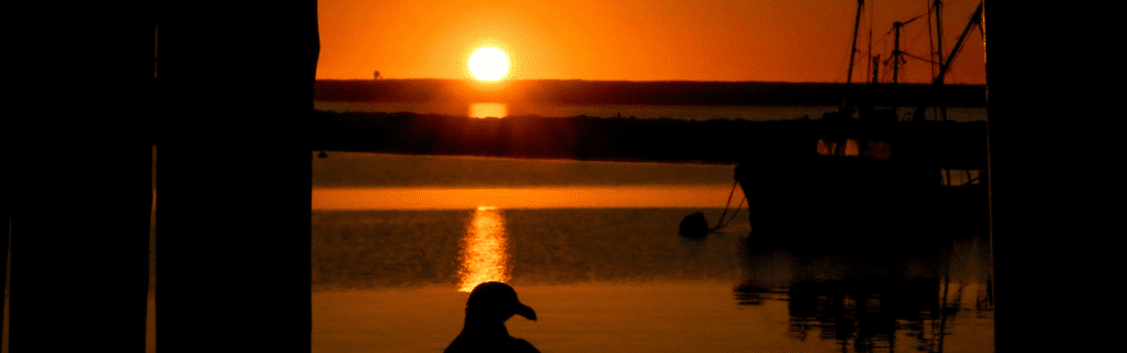 how to start a travel agency in Massachusetts with the travel host agency, Travel Agent Pro