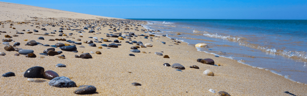 how to start a travel agency in Massachusetts with the travel host agency, Travel Agent Pro