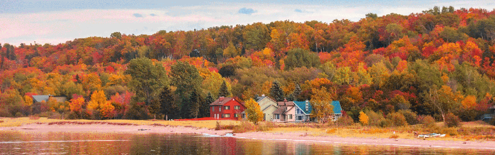 how to start a travel agency in Michigan with the travel host agency, Travel Agent Pro