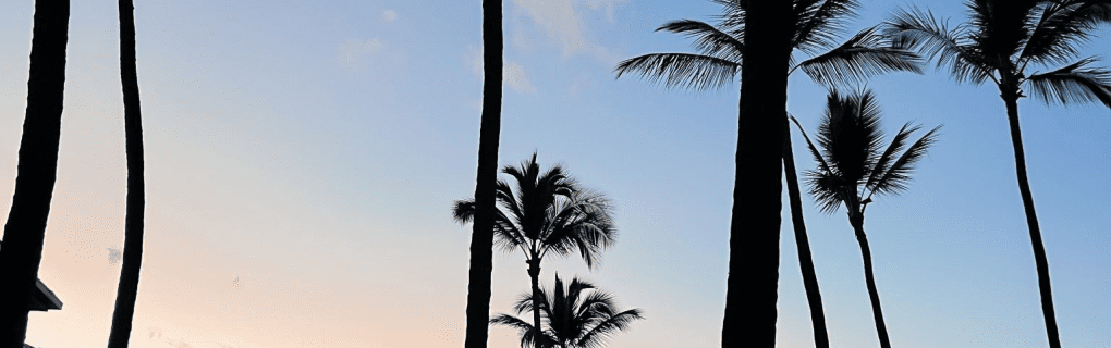 how to start a travel agency in Michigan with the travel host agency, Travel Agent Pro