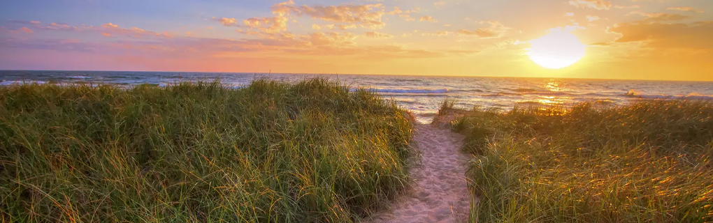 how to start a travel agency in Michigan with the travel host agency, Travel Agent Pro