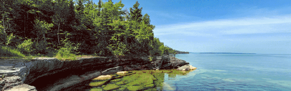 how to start a travel agency in Michigan with the travel host agency, Travel Agent Pro