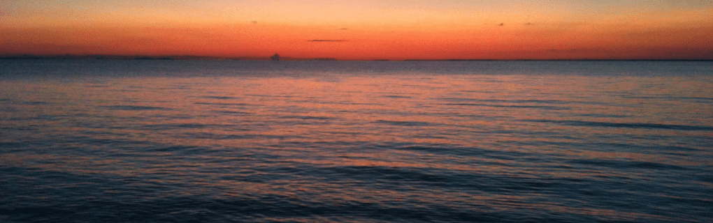 how to start a travel agency in Minnesota with the travel host agency, Travel Agent Pro