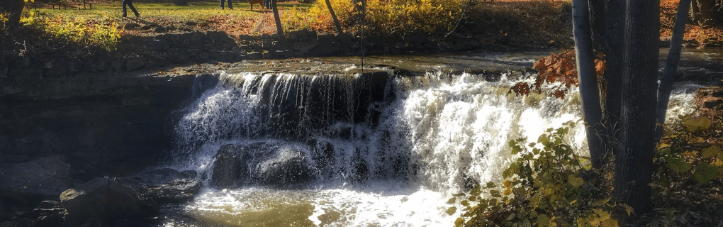 how to start a travel agency in Minnesota with the travel host agency, Travel Agent Pro