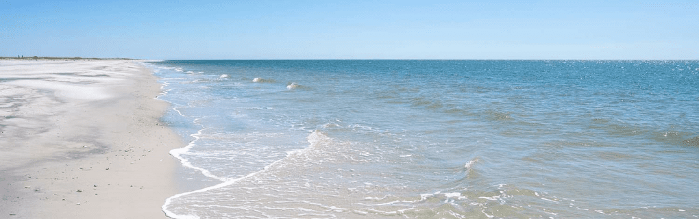 how to start a travel agency in Mississippi with the travel host agency, Travel Agent Pro