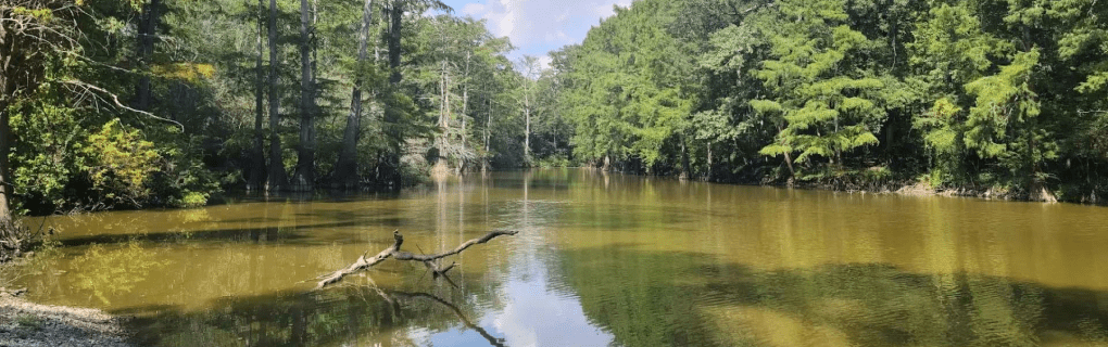 how to start a travel agency in Mississippi with the travel host agency, Travel Agent Pro